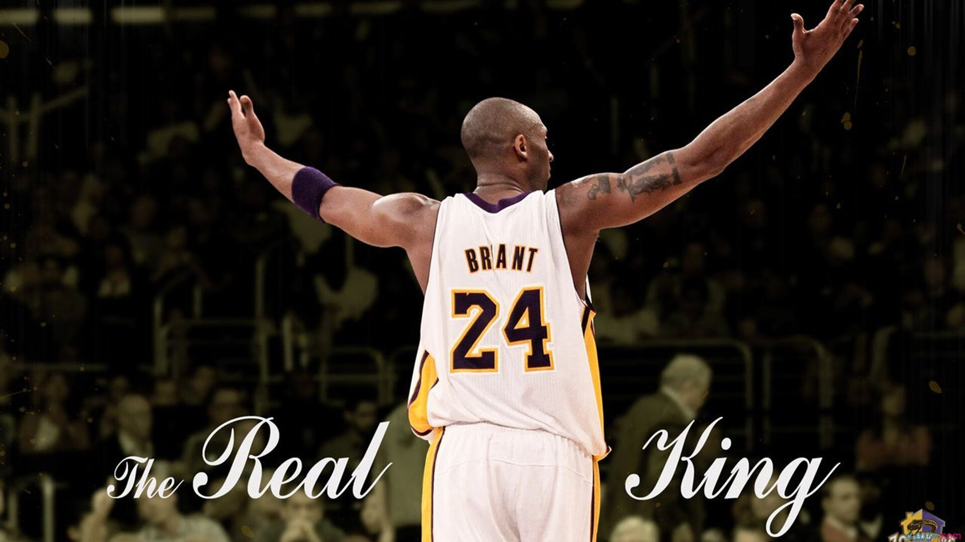 世界杯“最远客场” 球迷横跨半个地球只为看一场球